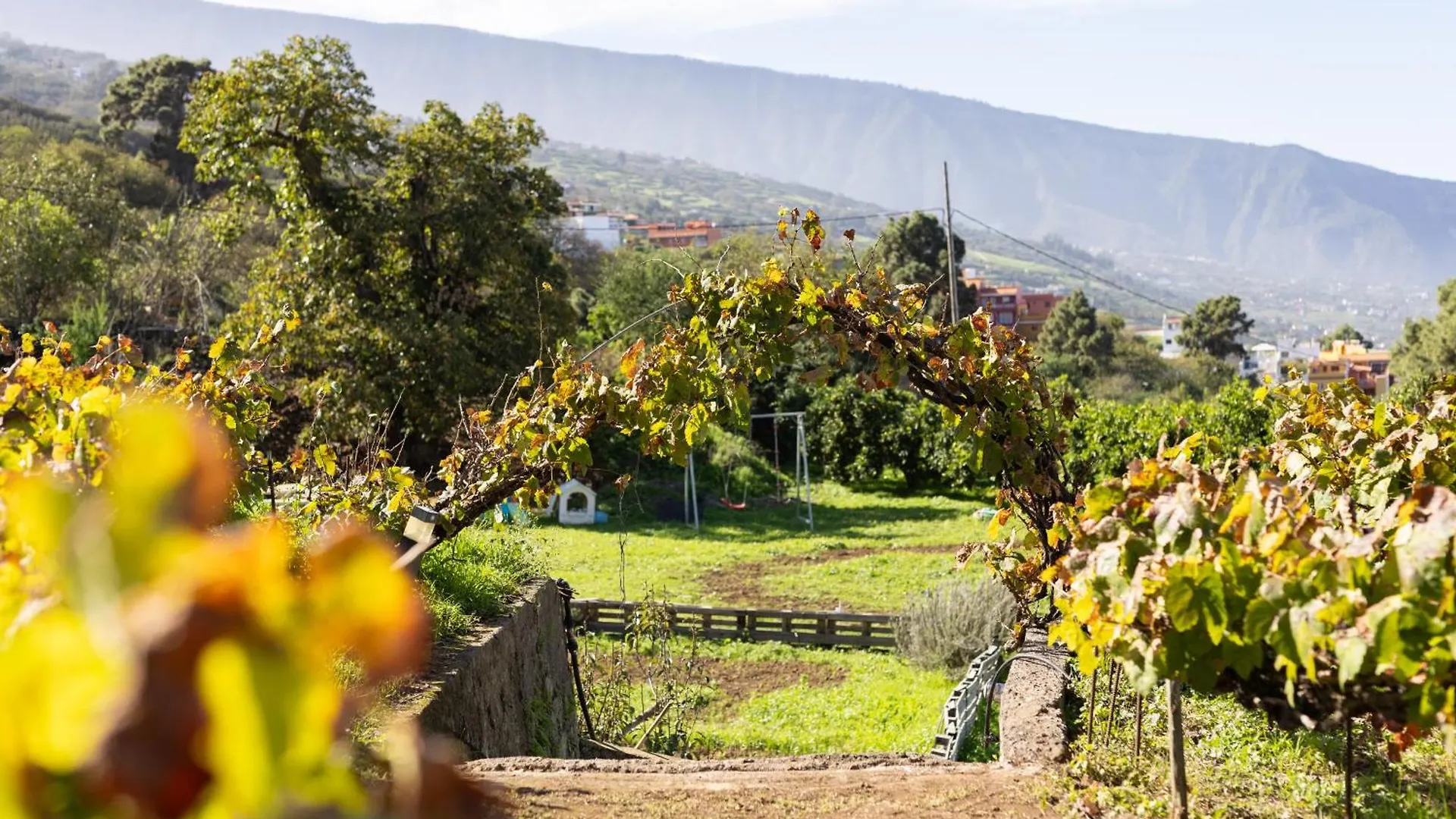 Ek Las Vistas Finca El Milagro La Orotava Apartment