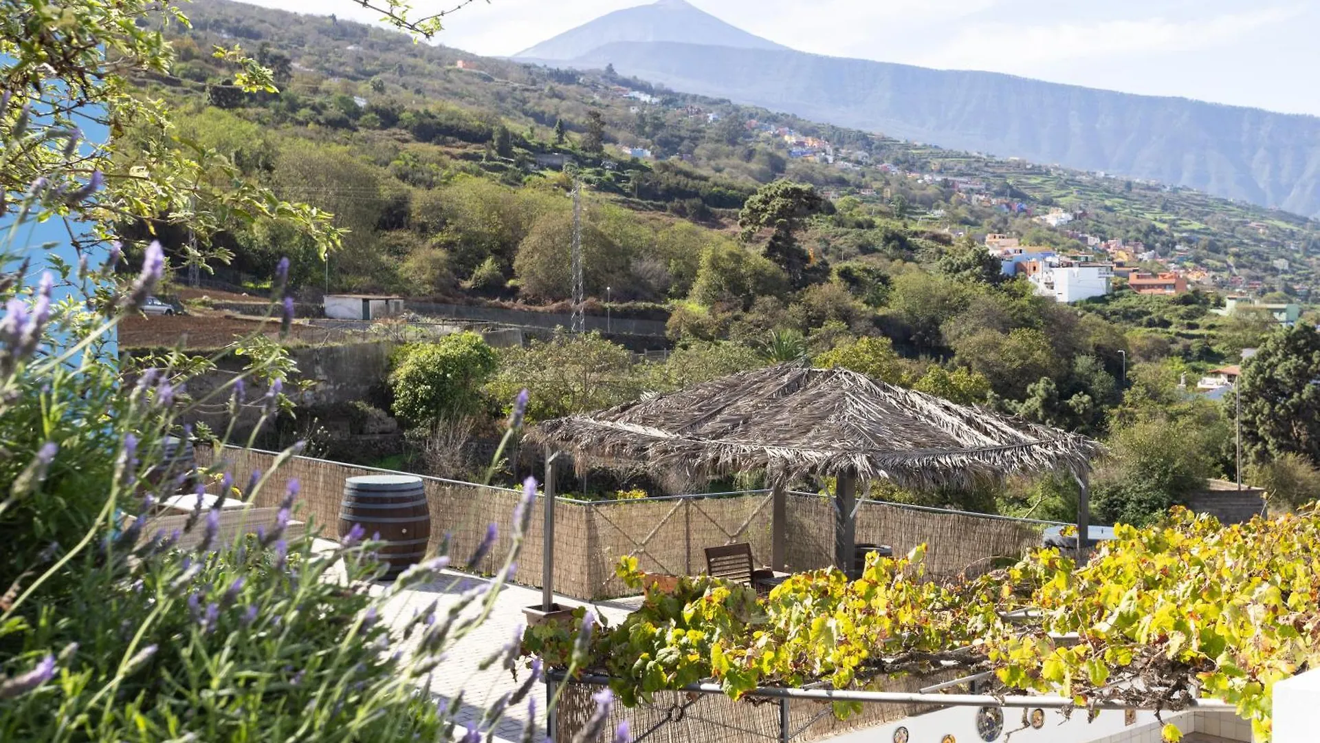 Ek Las Vistas Finca El Milagro La Orotava